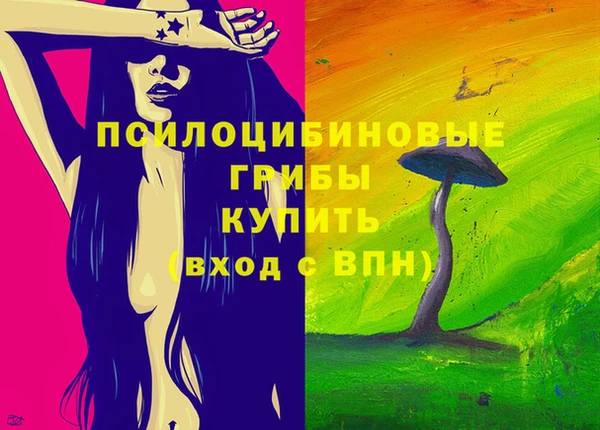 тгк Алексин