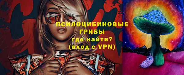 тгк Алексин