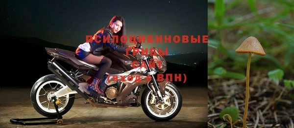 тгк Алексин