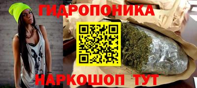 индика Ирбит