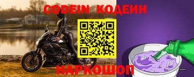 спайс Кингисепп