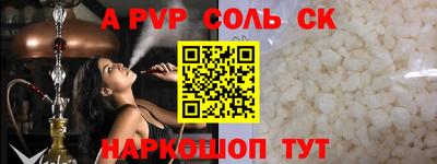 спайс Кингисепп