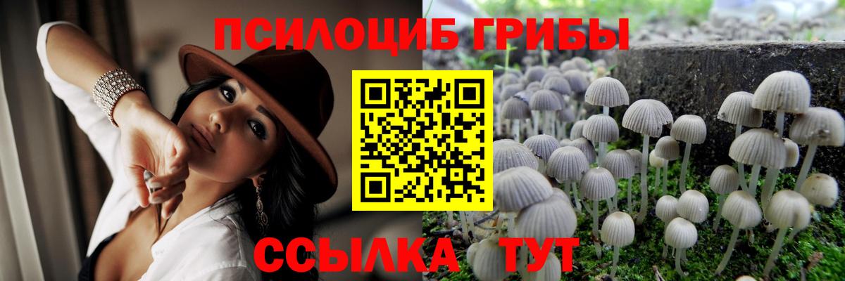 Псилоцибиновые грибы Magic Shrooms  Вход с VPN  Лысьва  Галлюциногенные грибы Psilocybe 