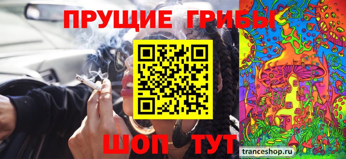 Псилоцибиновые грибы прущие грибы Лысьва
